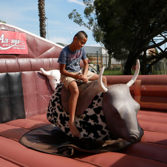 Youthweekbuckingbull