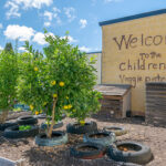 Vegie patch and lemon trees at Westminster Early Learning Centre