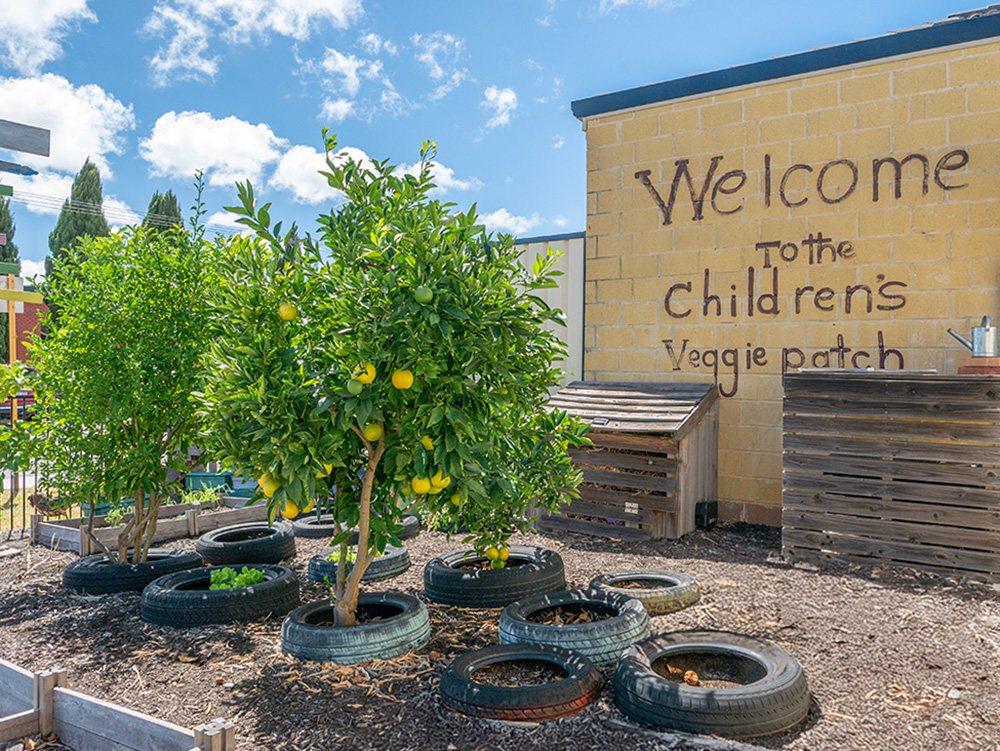 Vegie patch and lemon trees at Westminster Early Learning Centre