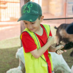 Child at Old Macdonald's Travelling Farm during Sacred Heart OSHC School Holiday Program