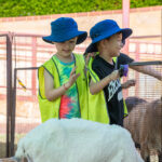 Children petting goats at wildlife encounter excursion during Sacred Heart OSHC School Holiday Program
