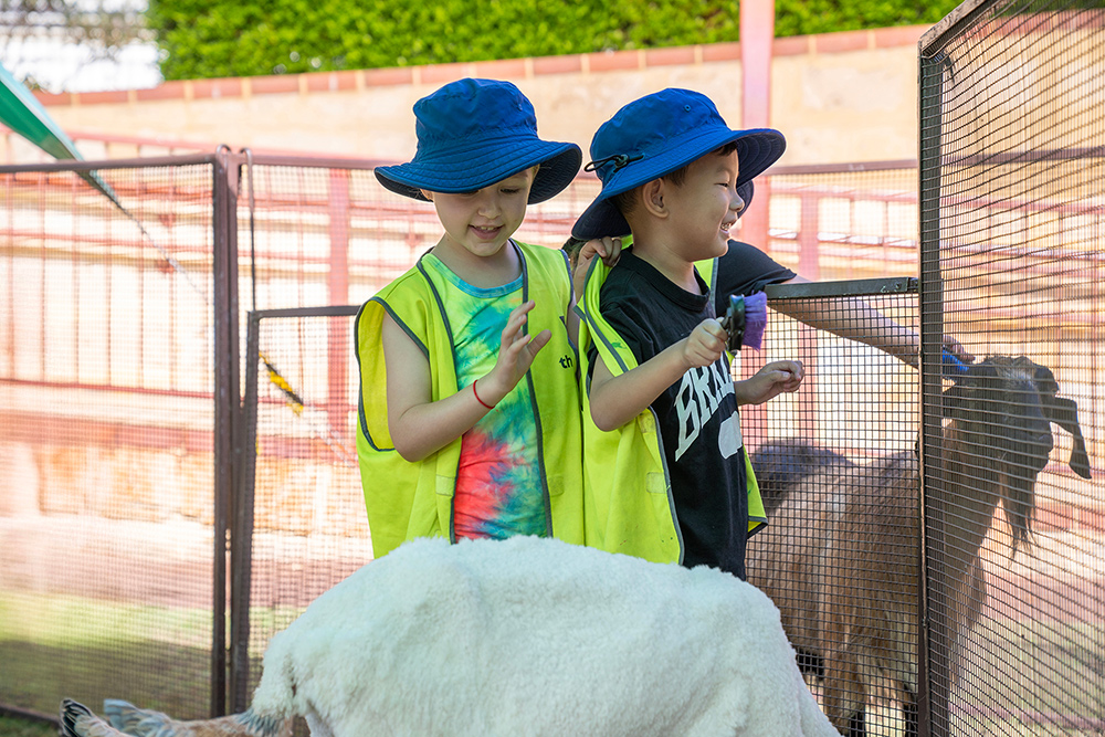 Children petting goats at wildlife encounter excursion during Sacred Heart OSHC School Holiday Program