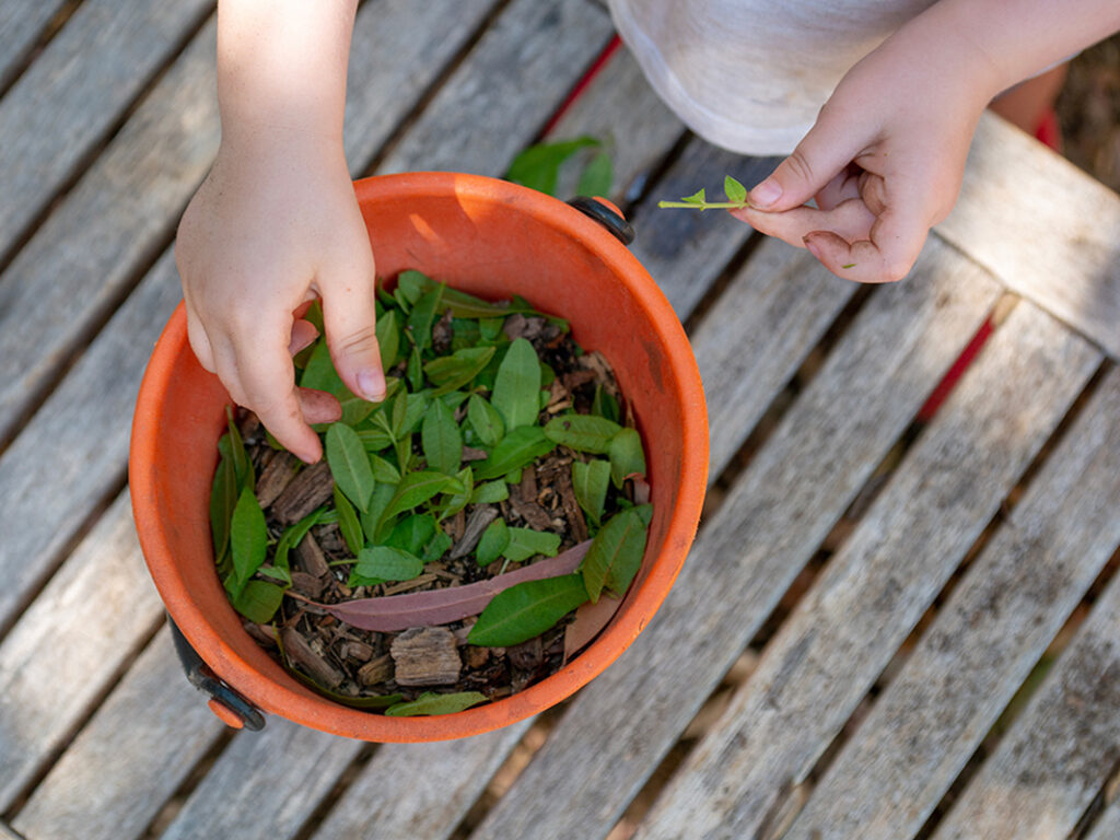 Child exploring natural materials and leaves at East Cannington childcare centre