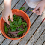 Child exploring natural materials and leaves at East Cannington childcare centre