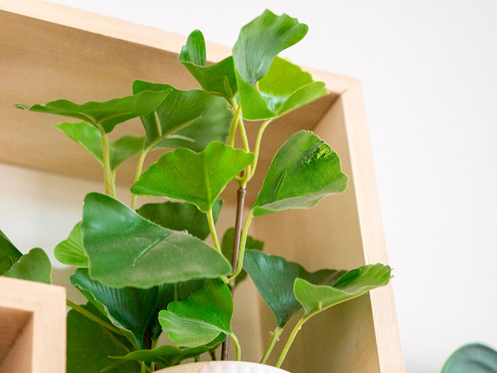 Environment for Growth