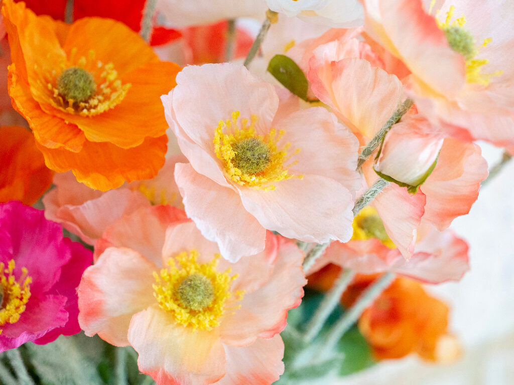 The team at Y[MCA] have been amazing...