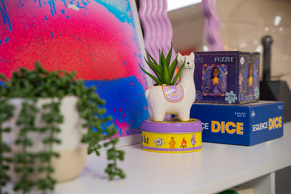 A close-up of a shelf displaying a llama-shaped succulent planter, board games, and colourful artwork in a youth centre room