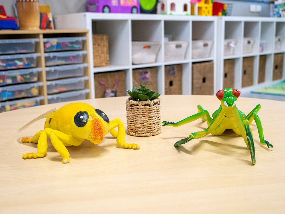 Toy frog and chameleon figures with small plant on table in organised early learning space