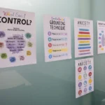 5 colourful posters on a classroom wall about control, grounding techniques, anxiety and growth mindset